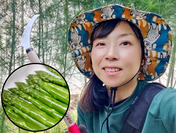 会津田島アスパラ