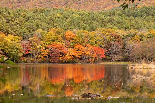 抽象的な自然風景写真 星 賢孝の奥会津だより】三島町の川面に浮かぶ霧幻峡の渡し舟 - 日刊CJ