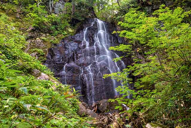 観光素材ライブラリー 会津の夏 | 極上の会津