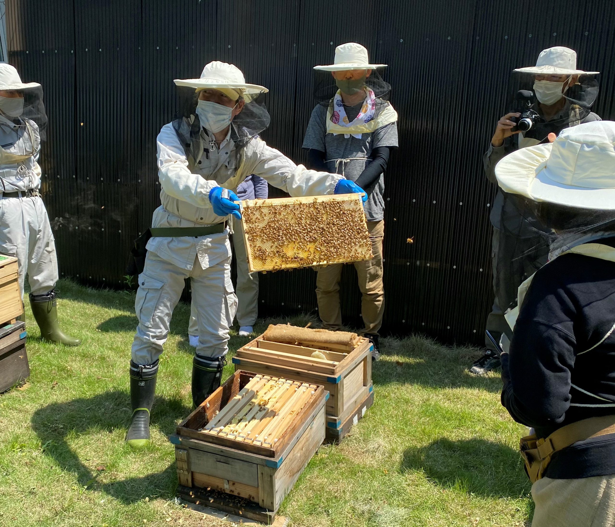 養蜂体験