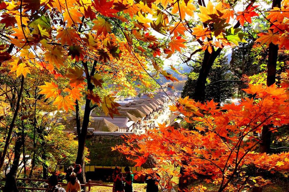 Oouchijyuku no Kouyou (Autumn leaves in Oouchijyuku)