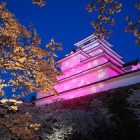 鶴ヶ城桜ライトアップ
