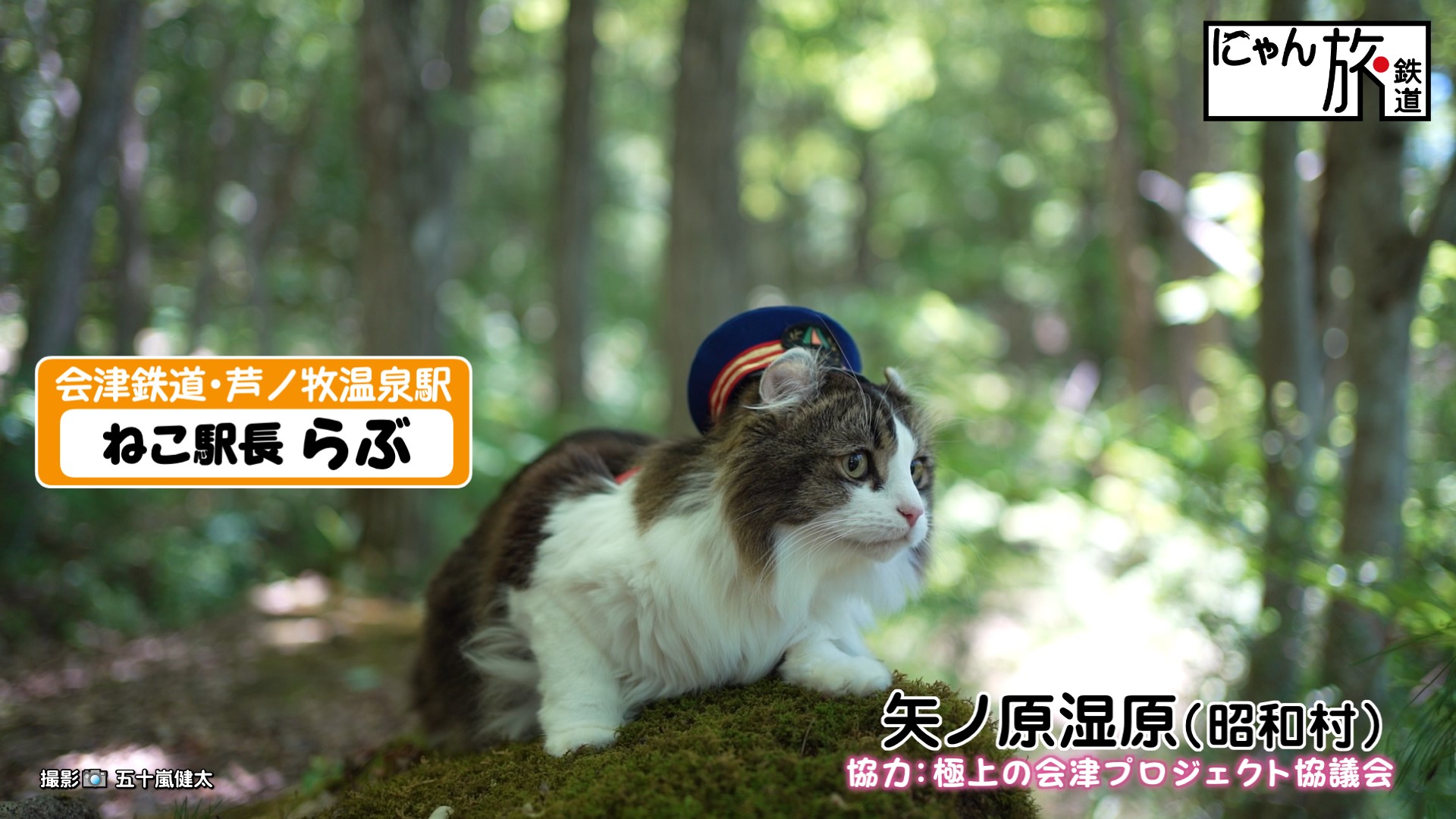 にゃん旅鉄道』×極上の会津連携企画第6弾「自然でパワーチャージだにゃ