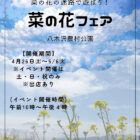 八木沢の菜の花フェア