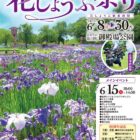 第50回花しょうぶ祭り2025