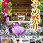 第42回あやめ祭り2025