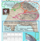 化石クリーニング体験会