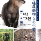企画展「只見の哺乳動物とその生態」
